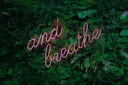 Tips for Training in the Heat